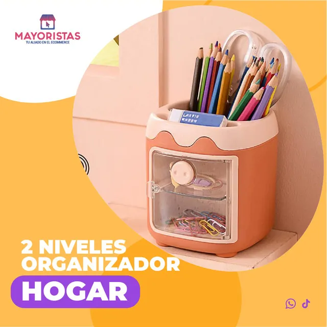 ORGANIZADOR 2 NIVELES
